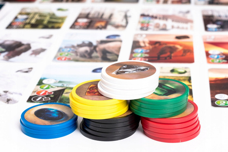 Splendor (Polska wersja)